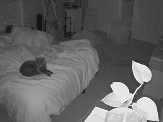 voyeurcam-house-charleys-room