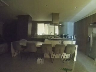 voyeurcam-casa-salsa-fishtank