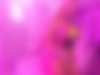 Katt Leya's Live Sex Cam Show