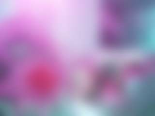 Katt Leya's Live Sex Cam Show