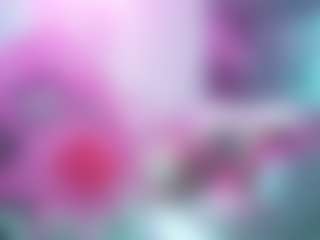 Katt Leya's Live Sex Cam Show
