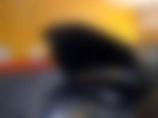 zowil's Live Sex Cam Show