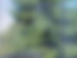 sassyt33n's Live Sex Cam Show