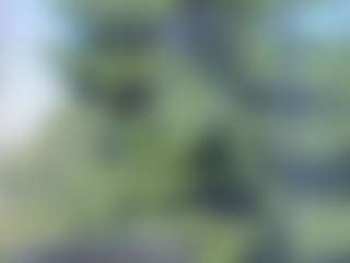 sassyt33n's Live Sex Cam Show
