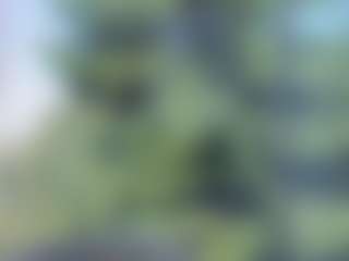 sassyt33n's Live Sex Cam Show