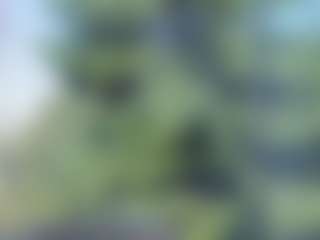 sassyt33n's Live Sex Cam Show