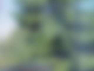 sassyt33n's Live Sex Cam Show