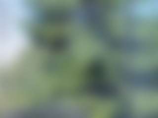 sassyt33n's Live Sex Cam Show