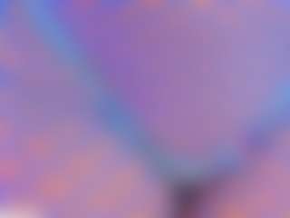 nycdiamond's Live Sex Cam Show