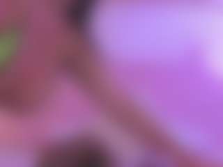 carozapata's Live Sex Cam Show