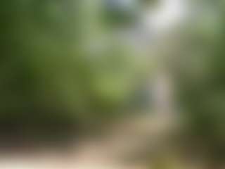Live cam show with corodo - Brown Hair on Nude Chat * 1 On 1 Webcam Sex * Live Cam Show