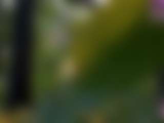 lovesense's Live Sex Cam Show