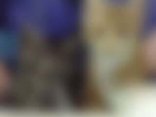 Live cam show with RussianPixie - Tight on xplaylive.com