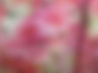 cherryslushy's Live Sex Cam Show