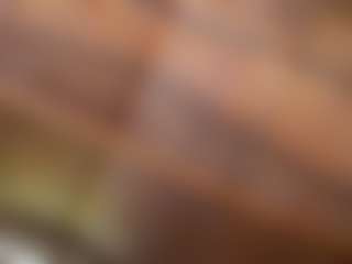 ✨testmodel-14✨'s Live Sex Cam Show