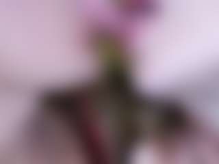 Live cam show with LadyAndTranny - Strapon on studioflirtlive.com