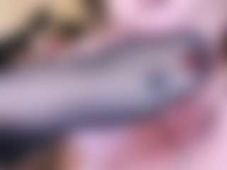 LadyAndTranny's Live Sex Cam Show