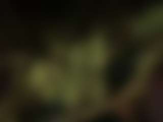 Karent's Live Sex Cam Show
