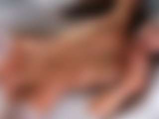 Dakota Blare's Live Sex Cam Show