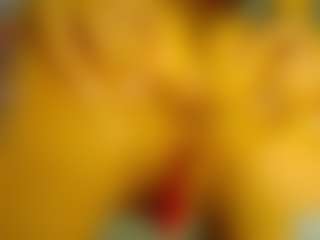 prettylonelygirl's Live Sex Cam Show