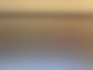 celeste-the-finess's Live Sex Cam Show