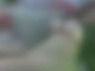 AmberAlenas Live-Sex-Cam-Show