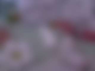 AmberAlena's Live Sex Cam Show
