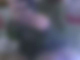 Show Live Sex Cam AmberAlena