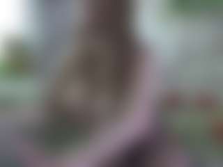 Live-sekscamshow van AmberAlena