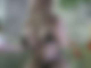 Show de cam sexual en vivo de AmberAlena