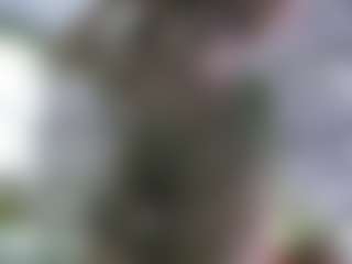 AmberAlenas Live-Sex-Cam-Show