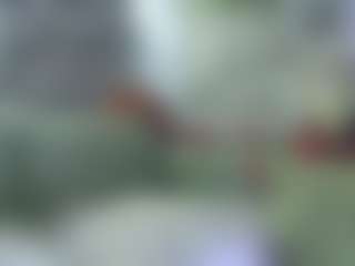 Live-sekscamshow van AmberAlena