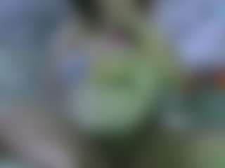 Cam Show en direct de AmberAlena