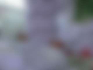Show Live Sex Cam AmberAlena
