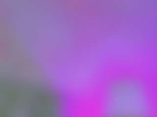 Anna Star's Live Sex Cam Show