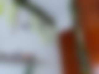 Live cam show with elikolanny - Doggy on boobsie.com