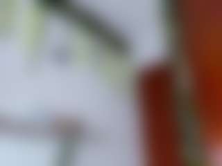 Live cam show with elikolanny - Latina on camwithhim.com | colombia