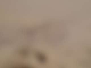 Lady-Nymph's Live Sex Cam Show