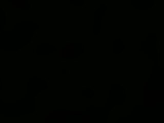 Bounce-n-bunnie's Live Sex Cam Show