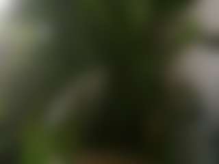 Live cam show with pamelapassion - Girlnextdoor on Milfs Live