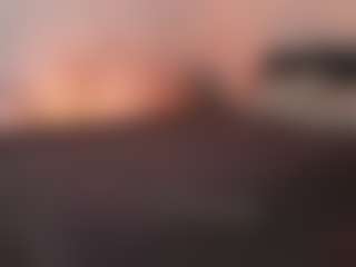 Live cam show with Hedonism - Grey Eyes on xxxlivecams.org