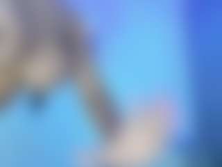 BUSTY PUTONA RELOADED's Live Sex Cam Show