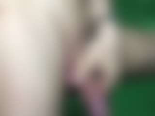 maxdex's Live Sex Cam Show