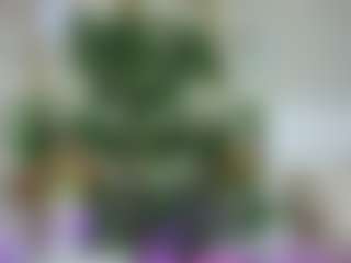 Emilly Bronte's Live Sex Cam Show