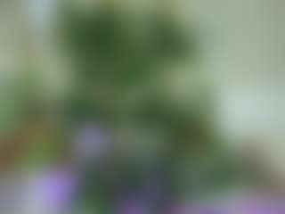 Emilly Bronte's Live Sex Cam Show