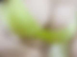 Live cam show with nidhilove - Indian BBW on Camsoda | united states