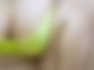 Live cam show with nidhilove - Indian BBW on Taboo Cams XXX | france