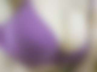 Live cam show with nidhilove - Indian Young Adult on crypto-cams | france