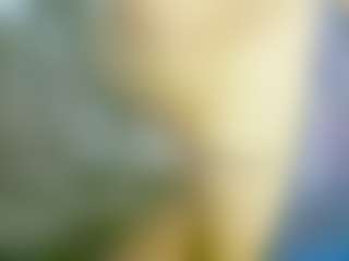 Live cam show with nidhilove - Indian Young Adult on Cam Slut | france
