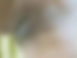 Live cam show with nidhilove - Indian BBW on Camsoda | france